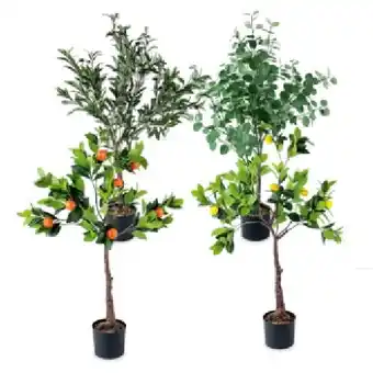 Hofer Künstliche Mediterrane Pflanze versch. Variationen HOFER Angebot