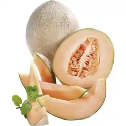 Metro Melone Cantaloupe, Preisangabe ohne MwSt. (Preis inkl. MwSt. 2,41 €), METRO Angebot