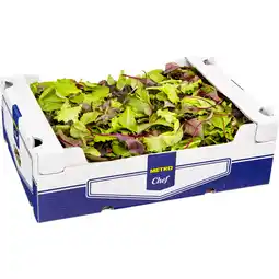 Metro Wildkräutersalat, Preisangabe ohne MwSt. (Preis inkl. MwSt. 5,49 €), METRO Angebot