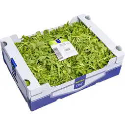 Metro Rucola lose, Preisangabe ohne MwSt. (Preis inkl. MwSt. 8,79 €), METRO Angebot