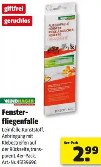 Hagebau Windhager Fenster fliegenfalle Angebot