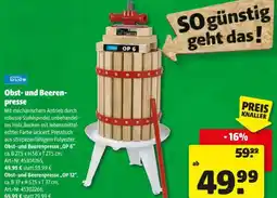 Hagebau Obst und Beeren presse Angebot