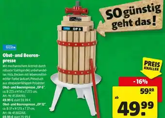 Hagebau Obst und Beeren presse Angebot