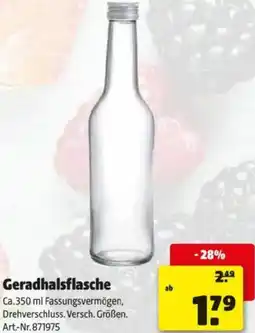 Hagebau Geradhalsflasche Angebot