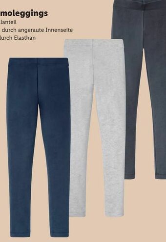 Lidl Mädchen Thermoleggings Angebot
