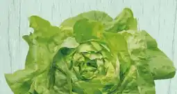 Spar Kopfsalat Angebot