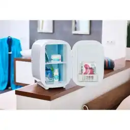 Interspar Beautifly Kosmetikkühlschrank FreshGlow Angebot