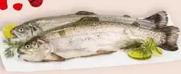 Interspar Fischzucht Maier Regenbogenforelle Angebot