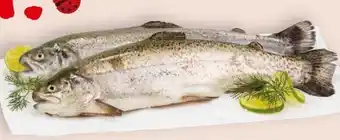 Interspar Fischzucht Maier Regenbogenforelle Angebot