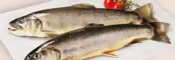 Interspar Fischzucht Gut Dornau Bachsaibling Angebot