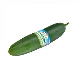 Interspar Bio-Feldgurke INTERSPAR Angebot