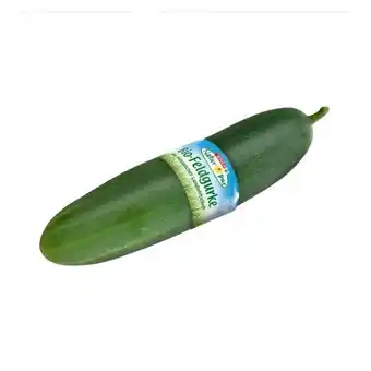 Interspar Bio-Feldgurke INTERSPAR Angebot