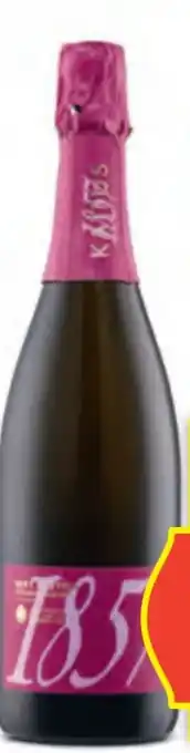 Hofer Kattus Sekt Angebot