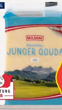 Hofer Milsani Gouda Angebot