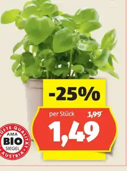 Hofer Zurück zum Ursprung Bio-Basilikum Angebot