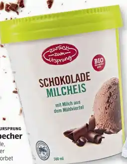 Hofer Zurück zum Ursprung Bio-Eisbecher Angebot