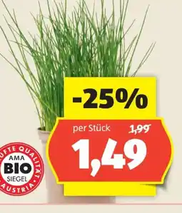 Hofer Zurück zum Ursprung Bio-Kräuter Angebot