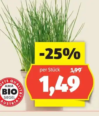 Hofer Zurück zum Ursprung Bio-Kräuter Angebot