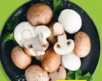 Hofer Hofer Marktplatz Champignons Angebot