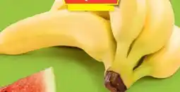 Hofer Hofer Marktplatz Bananen Angebot