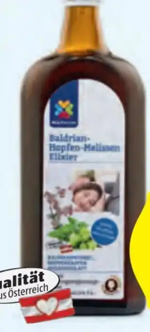 Hofer Multinorm Tonikum Angebot
