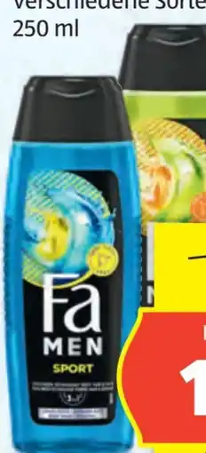 Hofer Fa Duschgel Angebot