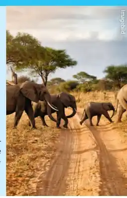 Hofer Hofer-Reisen Safari Südafrika Rundreise Angebot