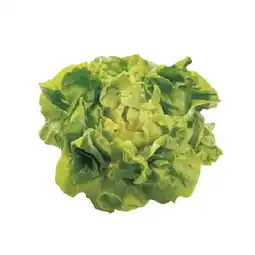 Spar zarte, frischer Kopfsalat SPAR Angebot