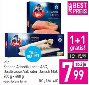 Sutterlüty Iglo Zander, Atlantik Lachs ASC, Goldbrasse ASC oder Dorsch MSC Angebot
