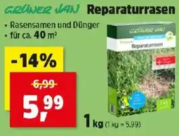 Thomas Philipps GRÜNER JAN Reparaturrasen Angebot
