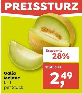 ADEG Galia Melone Angebot