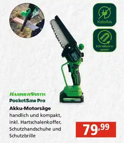 Pagro Diskont Hammersmith PocketSaw Pro Akku Motorsäge Angebot
