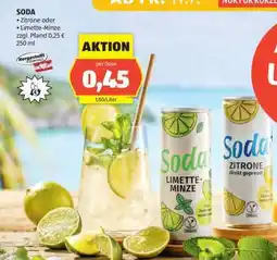 Hofer Soda Limette-Minze Angebot