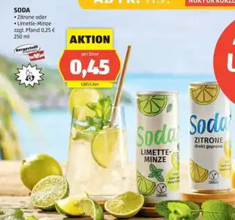 Hofer Soda Limette-Minze Angebot