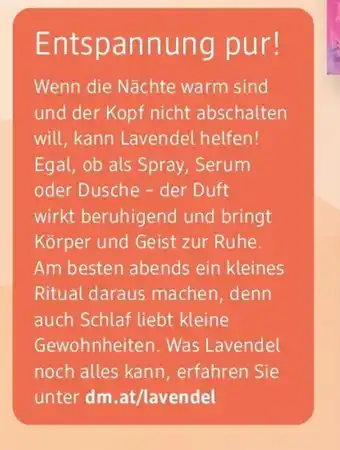 dm dm.at lavendel Angebot