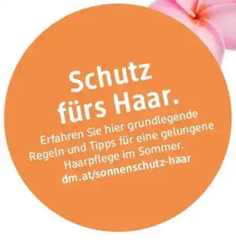 dm dm.at sonnenschutz-haar Angebot