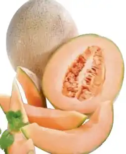 Metro Metro Chef Melone Cantaloupe Angebot