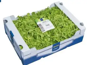 Metro Metro Chef Salat Rucola Angebot