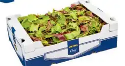 Metro Metro Chef Wildkräutersalat Angebot