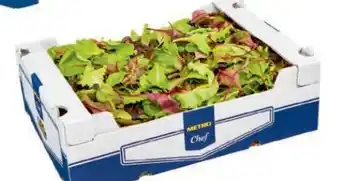 Metro Metro Chef Wildkräutersalat Angebot