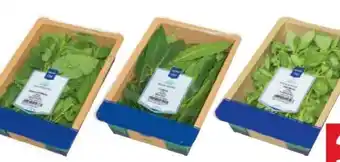 Metro Metro Chef Kräuter Angebot
