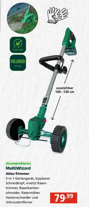 Pagro Diskont Hammersmith Multiwizard Akku Trimmer Angebot