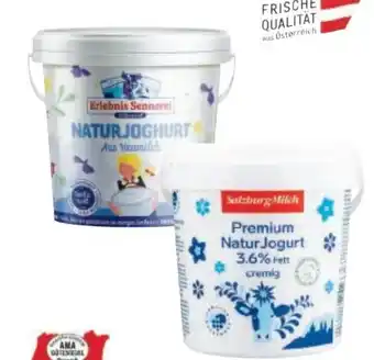 Metro Salzburg Milch Premium Naturjoghurt Angebot