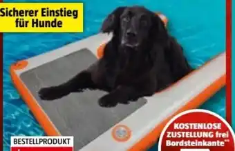 Bauhaus Pelican Badeleiter Dog Ramp Mini Angebot