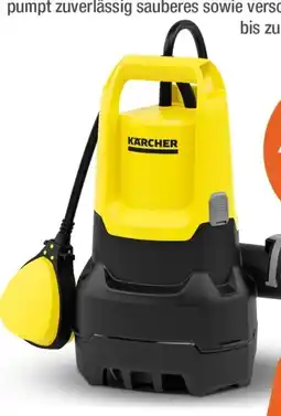 e-tec Kärcher Schmutzwassertauchpumpe SP 9.500 Dirt Angebot