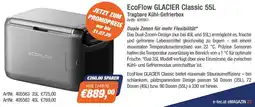 e-tec EcoFlow GLACIER Classic 55L Angebot