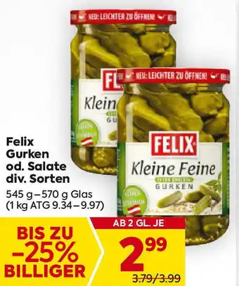 Billa Felix Gurken od. Salate div. Sorten Angebot