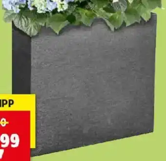 Thomas Philipps Pflanzkasten Angebot