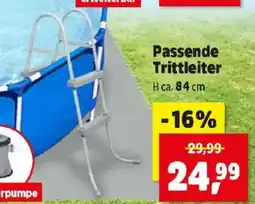 Thomas Philipps Passende Trittleiter Angebot