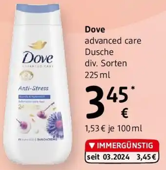dm Dove advanced care Dusche Angebot